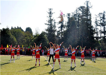 云南经贸外事学院2019年五年制大专填报志愿系统