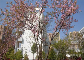 曲靖财经学校2022年五年制高职专业分类目录(图1)