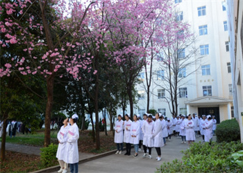 云南中医药中等专业学校2025年五年制大专录取分数线
