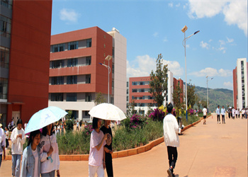 云南新兴职业学院2025年五年制大专报名条件
