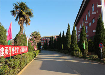 云南新兴职业学院2025年五年制大专报名方法
