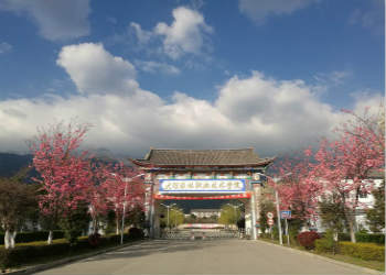 大理农林职业技术学院2018年五年制高职招生计划