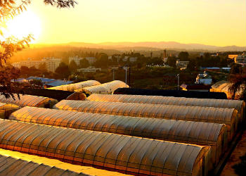 云南农业职业学院2018年五年制大专招生简章