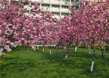 昆明卫生学院2018年五年制高职专科招生专业