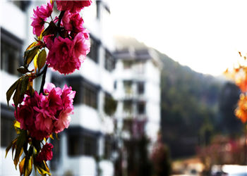 昆明卫生学院2019年五年制大专招生信息网