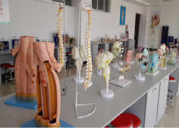 曲靖护理学校2019年五年制大专录取分数线