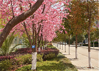 云南能源职业学院2019年五年制大专招生介绍