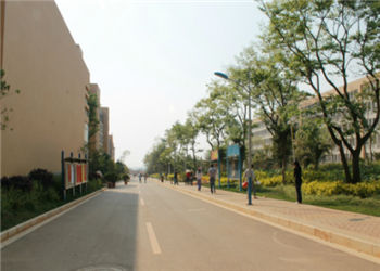 云南交通职业学院2019年五年一贯制报读条件