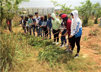 云南商务职业学院2019年五年制大专招生设置