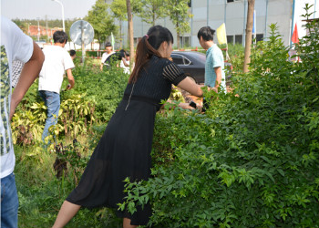 云南建设职业学院2019年五年制大专录取分数线