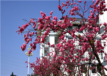 昆明卫生职业学院2019年五年制秋季招生计划