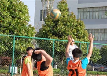 云南能源职业技术学院2019年五年制招生信息网