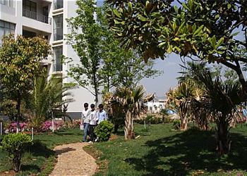 云南能源职业技术学院2019年五年制重点特色专业