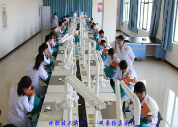 云南新兴职业学院2019年五年制报名方法