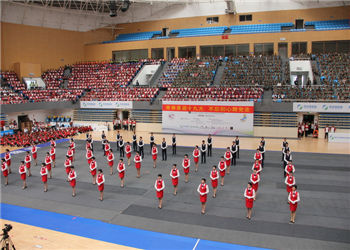 曲靖应用技术学校2019年五年制专科录取分数线