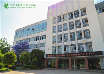 云南省健康医药职业学院2019年五年制招生报读指南