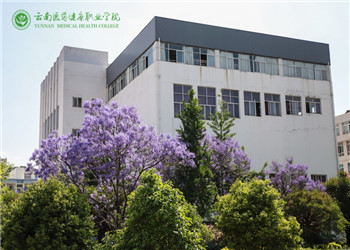 云南省医药健康职业学校2019年五年制招生报名时间