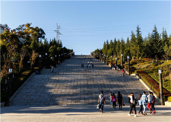 云南省工贸职业学院2019年五年制招生专业计划表