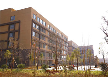 昆明云南商务职业学院2020年五年制录取查询