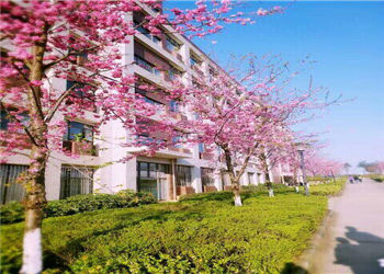 云南商务职业学院2020年五年制大专招生报名条件