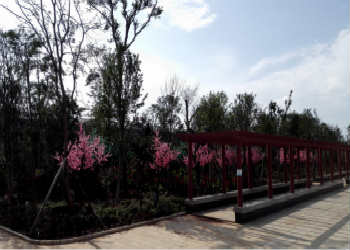 曲靖职业学院2020年五年制大专网上怎么报名