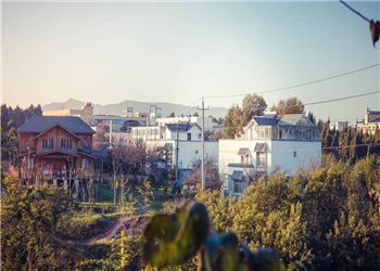 云南农业职业技术学院2020年五年一贯制大专报名系统