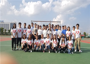 云南新能源职业技术学院2020年五年制大专网上报名系统