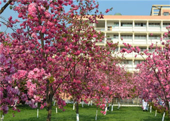 昆明卫生职业学院2023年五年一贯制大专报名条件(图1)