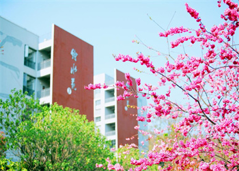 云南国土资源职业学院2023年五年制高职招生电话(图1) 云南国土资源职业学院2023年五年制高职招生电话(图1)