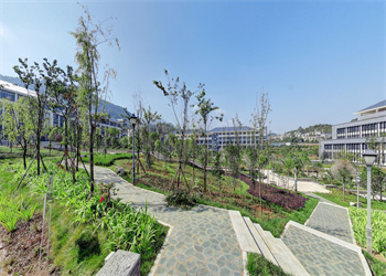 云南体育运动职业技术学院2025年五年制大专收往届生吗