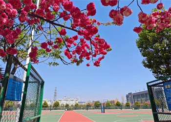 云南能源职业技术学院2025年五年制大专招生电话