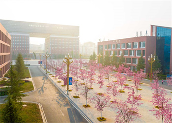 云南医药健康职业学院2025年五年制大专报名地址