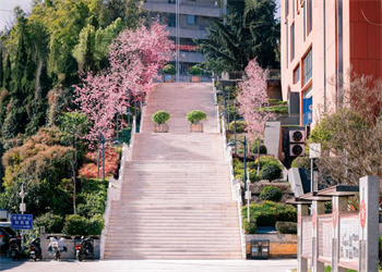云南财经职业学院2025年五年制大专报名时间