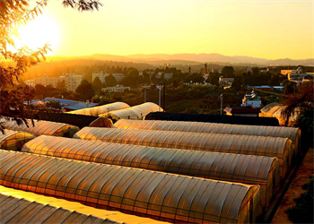 云南农业职业技术学院2025年五年制大专招生计划