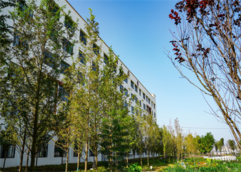 云南三鑫职业技术学院2025年五年制大专招生计划