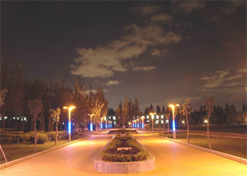 昆明艺术职业学院2025年五年制大专招生专业