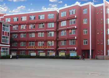 云南新兴职业学院2025年五年制大专招生专业