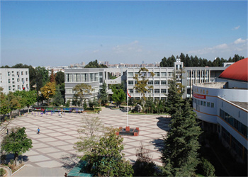 云南体育运动职业技术学院2026年五年制大专录取分数线 云南体育运动职业技术学院2026年五年制大专录取分数线