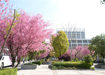 云南工程职业学院2026年五年制大专报名要求 云南工程职业学院2026年五年制大专报名要求