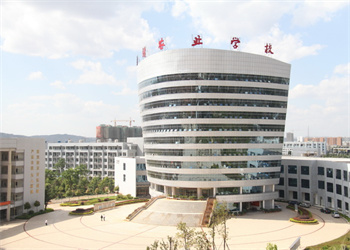 曲靖农业学校2026年五年制大专招生简章