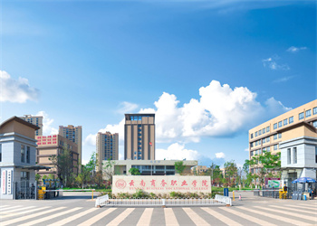 云南五年制大专2026年云南商务职业学院招生专业 云南五年制大专2026年云南商务职业学院招生专业