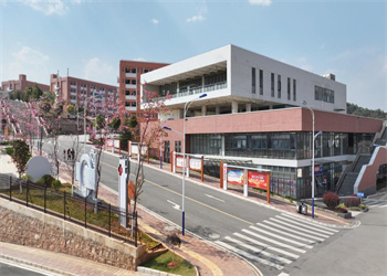 云南能源职业技术学院2026年五年制大专招生要求 云南能源职业技术学院2026年五年制大专招生要求