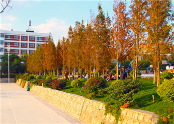 昆明医药健康职业学院2021年五年一贯制大专报名专业